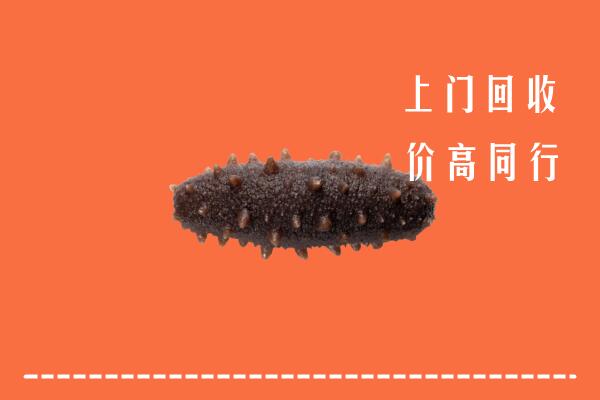 高价求购：汉南区回收海参