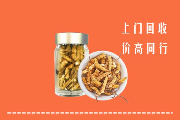 汉南区回收冬虫夏草