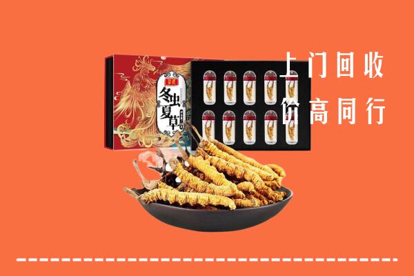 汉南区回收虫草